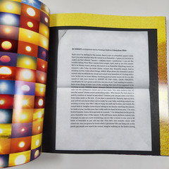 Penelope Umbrico Photographs Limited 1st Ed 2011 Monograph Commercial Media