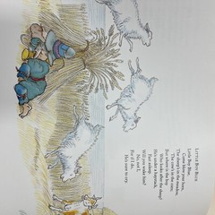 Michael Foreman’s Mother Goose Foreman, Michael Vintage *1991*. HCDJ