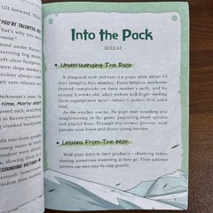 The Wolf Code: Cultivate Wolf Spirit & Growth Mindset Children’s Book Ages 6-10