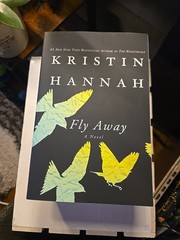 KRISTIN HANNAH Lot 3 Paperback New, Never Read 📚