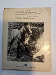 Scholastic Birth of a Foal Jane Miller PB 1977 Vintage Ages 4-8 Horses
