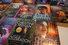Christine Feehan (Paranormal Romance) paperback book lot (17 books)