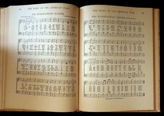 Story of the American Flag Wayne Whipple 1910 Illustrated Henry Altemus Co