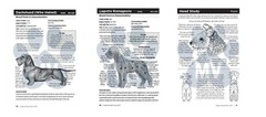 Pocket Pal Notes from the Grooming Table-Groomer how-to BOOK Second Edition 2