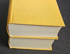 Słownik Angielsko-Polski /English-Polish Dictionary 2 Book Set