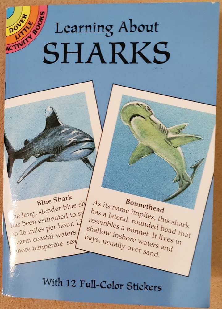 Learning About Sharks by Jan Sovak