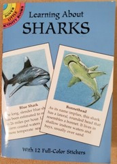 Learning About Sharks by Jan Sovak