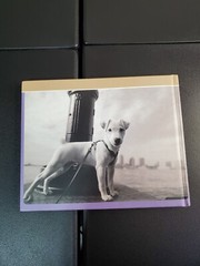 Pawfiles: Portraits of Dogs: A Bark and Smile Book by Levin, Kim Hardback Book