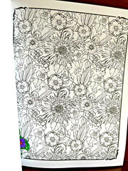Adult Coloring Books Lot 4 Unused Nature Flowers Mandalas Stained Glass Karmin