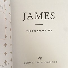 The Daily Grace Co. James: The Steadfast Life Schmucker PB 2017 Study Guide