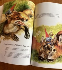 Gnomes by Wil Huygen Illustrated by Risen Poortvliet 1977 Abrams