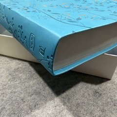 Thomas Nelson Giant Print Holy Bible (NKJV) – Aqua