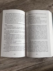 Ellen Marie Wiseman Ce qu’elle a laissé derrière elle Paperback Fiction French …
