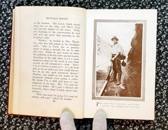 Buffalo Roost, F. H. Cheley, 1913, First Edition, Hardcover, Antique