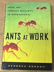 Ants at Work : How an Insect Society Is Organized by Deborah Gordon (HC, GOOD)