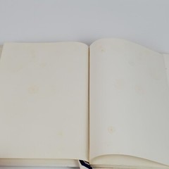 Limited Edition 37 Years Of Public Service Lyndon B. Johnson By Joe B. Frantz