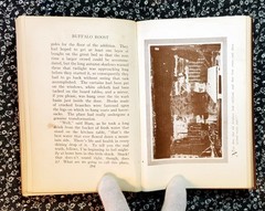 Buffalo Roost, F. H. Cheley, 1913, First Edition, Hardcover, Antique
