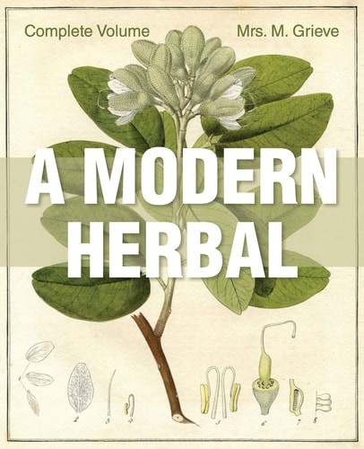 A Modern Herbal: The Complete Edition by Grieve, Margaret, Good Book