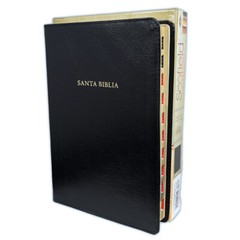 Biblia Scofield de Estudio Pastoral Reina Valera 1960 piel negro con indice