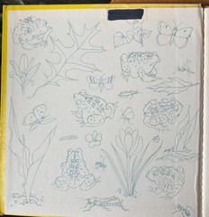 Toad by Anne Rockwell illustrated by Harlow Rockwell – Hardcover First Edition