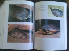 Turtles of the United States & Canada, 1994 First Edition