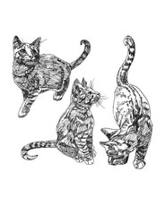 Dogs and Cats Coloring Book for All Ages 108 Pages 8.5 x 11 for All Ages