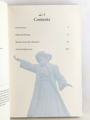 RUMI ILLUSTRATED by Jalal Al-Din Rumi (Chinese Bound Hardcover) *Brand New*