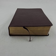 The Quest Study Bible New International Version Bonded Leather Large Print