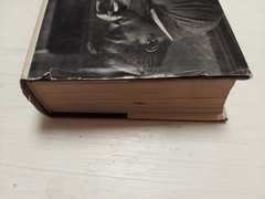 YES I CAN-The Story of SAMMY DAVIS, Jr.-Memoir- 1965 HC w/DJ!