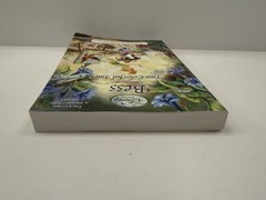 Disney Fairies ppb Bess Two Colorful Tales (Art Lessons by Bess; A Masterpiece)