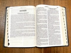 French Bible LARGE PRINT, Segond 1910 Bonded Leather Thumb Index, Red Letter