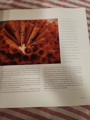 The French Laundry Cookbook by Thomas Keller Hardcover