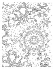SnowFlakes are Falling Coloring Book All Ages 108 Pages 8.5 x 11 for All Ages