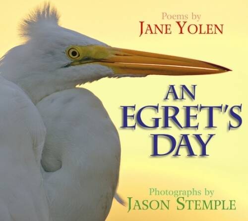 An Egret’s Day – Hardcover By Yolen, Jane – GOOD