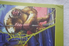 The Art Of Goosebumps (2021) by Sarah Rodriguez Hardcover Book