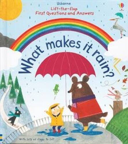 What Makes it Rain? – Board book By Katie Daynes – GOOD