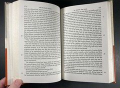 The Scarlet Letter by Nathaniel Hawthorne With Reader’s Guide, Amsco, 1970 HC