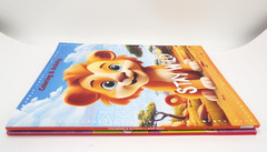 Disney Animal Friends Jumbo Coloring &Activity Book & Dreamtivity Stay Wild NEW