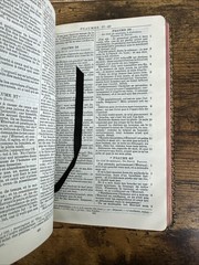 FRENCH DARBY BIBLE – LA SAINTE BIBLE 1960 – PEBBLED LEATHER – INDIA PAPER – NF