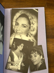 Elizabeth J Randy Taraborrelli 548 pages 2006 Hardback Book Dust Jacket Illustra