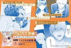 ファリスの結婚 3 (Only Lips comicsめちゃコミックオリジナル) (Paperback) (UK IMPORT)