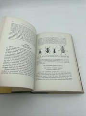 Insects And Their Control By Andrew Wilson 2nd Printing 1931 Horticulture Nature