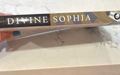 Divine Sophia: The Wisdom Writings of Vladimir Solovyov SC 2009 EUC