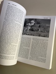The Midnight Eye Guide to New Japanese Film by Tom Mes, Jasper Sharp [2004]