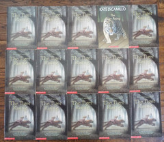 Lot 15 Kate DiCamillo The Tiger Rising Guided Reading Teacher Class Set