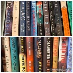 Great Mixed Lot Of (5) Mystery Paperbacks & Hardcovers Books; Free Shipping!
