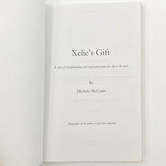 Xelie’s Gift by Michele McGuire (2014, Trade Paperback) GC 272 pages