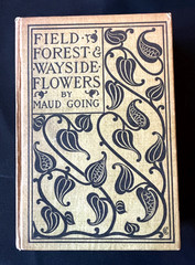 Antique Forestry Tree Identification Botany Nature Study 4 Book Lot 1919-1925