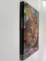 Cats 24/7 Extraordinary Photographs Of Wonderful Cats 2005 Hardcover 190 Pages