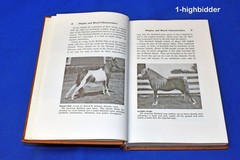 1959 The Shetland Pony 1st Ed L Frank Bedell HC Rare Vintage Horse Care Guide